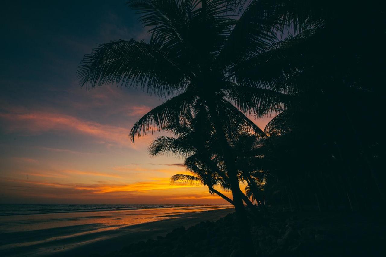 Hostal Los Chamos San Juan del Sur Dış mekan fotoğraf